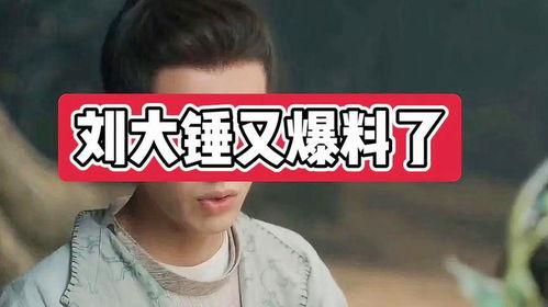 刘大锤爆料白鹿原视频,白鹿原视频背后的惊人真相 第3张 刘大锤爆料白鹿原视频,白鹿原视频背后的惊人真相 第3张