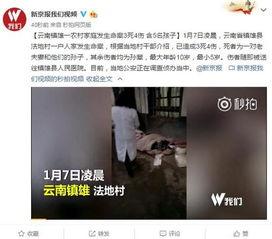 深圳命案最新爆料视频,案情细节再引热议  第2张